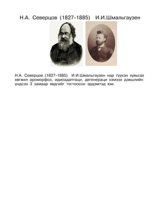 Н.А. Северцов (1827-1885)          И.И.Шмальгаузен




Н.А. Северцов (1827-1885) И.И.Шмальгаузен нар түүхэн хувьсах
хөгжил ароморфоз, идиоадаптаци, дегенераци хэмээх дэвшлийн
үндсэн 3 замаар явдгийг тогтоосон эрдэмтэд юм.
 