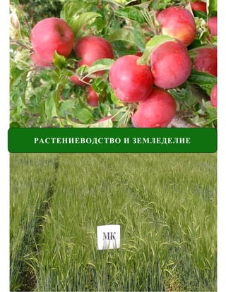 КАТАЛОГ НАУЧНО-ТЕХНИЧЕСКИХ РАЗРАБОТОК АО «КАЗАГРОИННОВАЦИЯ»




РАСТЕНИЕВОДСТВО И ЗЕМЛЕДЕЛИЕ




                                                               Растениеводство и земледелие
 