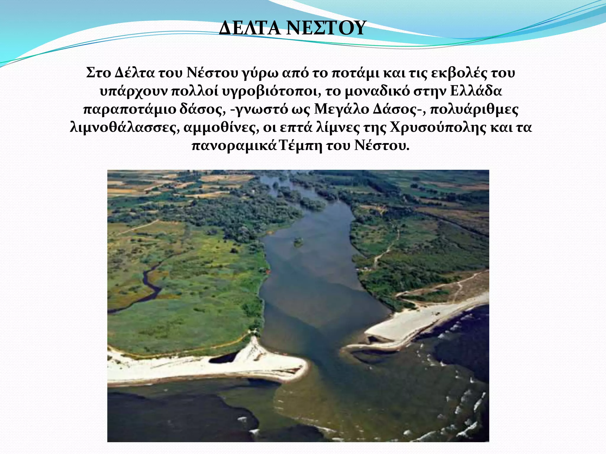 ΔΕΛΤΑ ΝΕΣΤΟΥΣτο Δέλτα του Νέστου γύρω από το ποτάμι και τις εκβολές του υπάρχουν πολλοί υγροβιότοποι, το μοναδικό στην Ελλάδα παραποτάμιο δάσος, -γνωστό ως Μεγάλο Δάσος-, πολυάριθμες λιμνοθάλασσες, αμμοθίνες, οι επτά λίμνες της Χρυσούπολης και τα πανοραμικά Τέμπη του Νέστου.