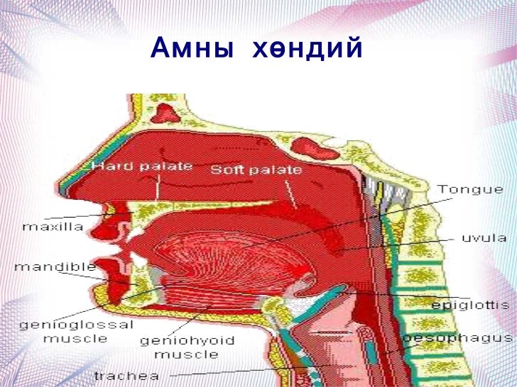 үзүүлэн