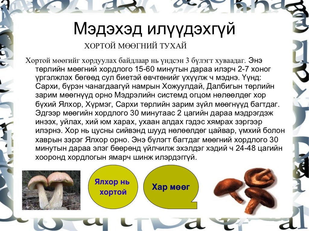 мөөг