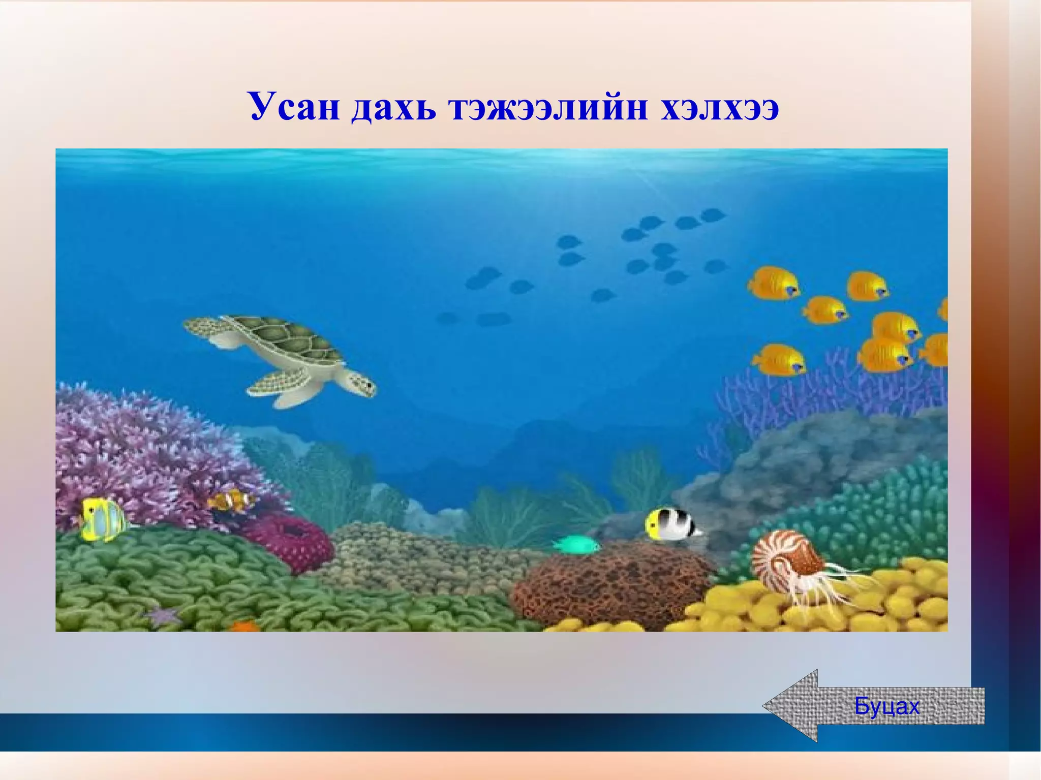 Усан дахь тэжээлийн хэлхээ   Буцах 