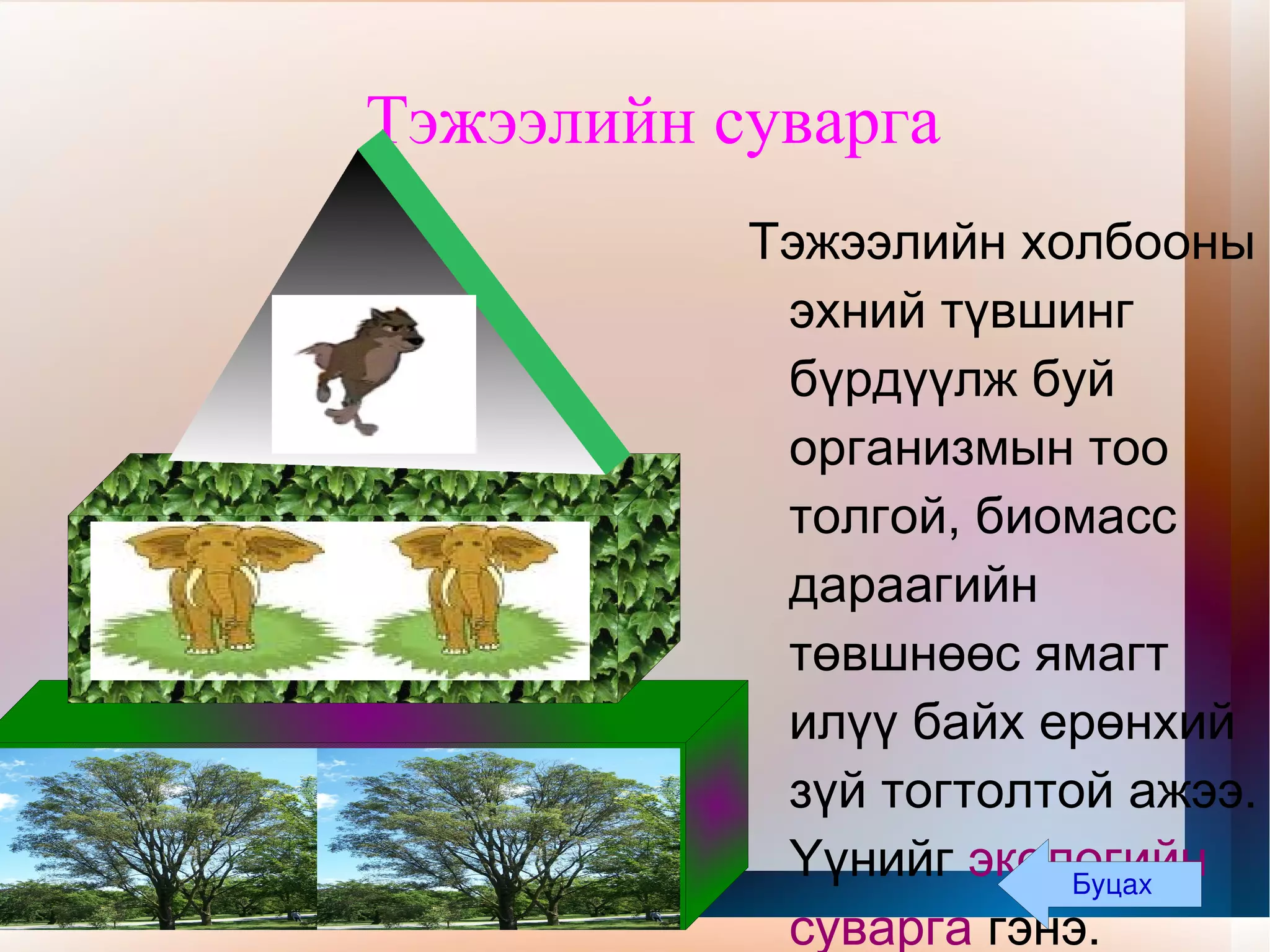 Тэжээлийн суварга Тэжээлийн холбооны эхний түвшинг бүрдүүлж буй организмын тоо толгой, биомасс дараагийн төвшнөөс ямагт илүү байх ерөнхий зүй тогтолтой ажээ. Үүнийг  экологийн суварга  гэнэ.  Буцах 