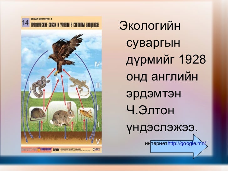 биоценоз