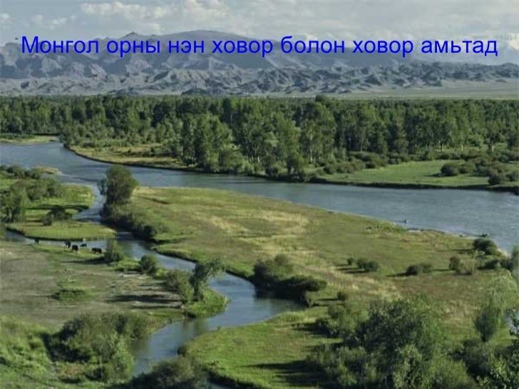 монгол орны нэн ховор амьтад