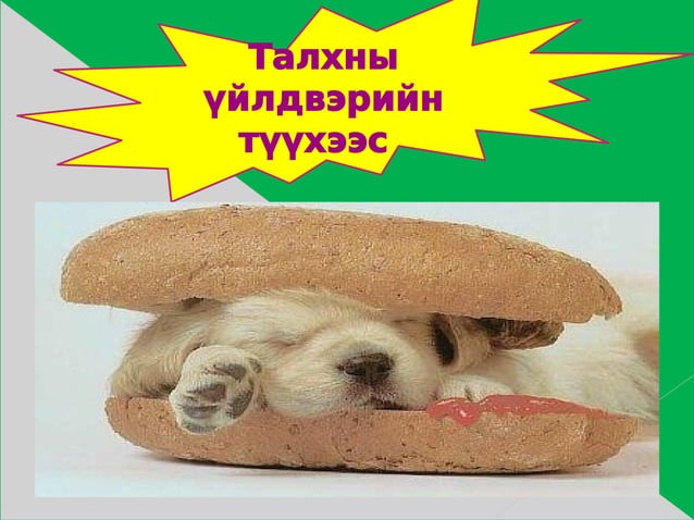 төсөлт ажил | PPT