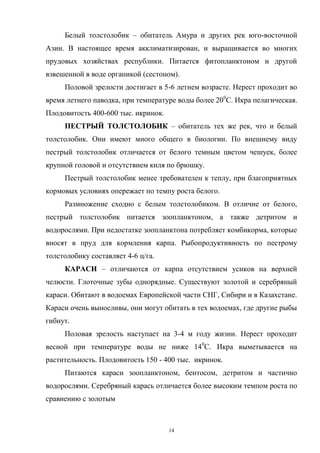 Белый толстолобик – обитатель Амура и других рек юго-восточной
Азии. В настоящее время акклиматизирован, и выращивается во многих
прудовых хозяйствах республики. Питается фитопланктоном и другой
взвешенной в воде органикой (сестоном).
     Половой зрелости достигает в 5-6 летнем возрасте. Нерест проходит во
время летнего паводка, при температуре воды более 200С. Икра пелагическая.
Плодовитость 400-600 тыс. икринок.
     ПЕСТРЫЙ ТОЛСТОЛОБИК – обитатель тех же рек, что и белый
толстолобик. Они имеют много общего в биологии. По внешнему виду
пестрый толстолобик отличается от белого темным цветом чешуек, более
крупной головой и отсутствием киля по брюшку.
     Пестрый толстолобик менее требователен к теплу, при благоприятных
кормовых условиях опережает по темпу роста белого.
     Размножение сходно с белым толстолобиком. В отличие от белого,
пестрый толстолобик питается зоопланктоном, а также детритом и
водорослями. При недостатке зоопланктона потребляет комбикорма, которые
вносят в пруд для кормления карпа. Рыбопродуктивность по пестрому
толстолобику составляет 4-6 ц/га.
     КАРАСИ – отличаются от карпа отсутствием усиков на верхней
челюсти. Глоточные зубы однорядные. Существуют золотой и серебряный
караси. Обитают в водоемах Европейской части СНГ, Сибири и в Казахстане.
Караси очень выносливы, они могут обитать в тех водоемах, где другие рыбы
гибнут.
     Половая зрелость наступает на 3-4 м году жизни. Нерест проходит
весной при температуре воды не ниже 140С. Икра выметывается на
растительность. Плодовитость 150 - 400 тыс. икринок.
     Питаются караси зоопланктоном, бентосом, детритом и частично
водорослями. Серебряный карась отличается более высоким темпом роста по
сравнению с золотым



                                     14
 