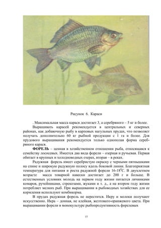 Рисунок 6. Караси

      . Максимальная масса карася достигает 3, а серебряного – 5 кг и более.
      Выращивать карасей рекомендуется в центральных и северных
районах, как добавочную рыбу в карповых нагульных прудах, что позволяет
получать дополнительно 60 кг рыбной продукции с 1 га и более. Для
прудового выращивания рекомендуется только однополая форма сереб-
ряного карася.
      ФОРЕЛЬ – ценная в хозяйственном отношении рыба, относящаяся к
семейству лососевых. Имеется два вида форели – озерная и ручьевая. Первая
обитает в крупных и холодноводных озерах, вторая – в реках.
      Радужная форель имеет серебристую окраску с черными пятнышками
на спине и широкую радужную полосу вдоль боковой линии. Благоприятная
температура для питания и роста радужной форели 16-180С. В двухлетнем
возрасте    масса товарной навески достигает до 200 г и больше. В
естественных условиях молодь на первом году жизни питается личинками
комаров, ручейниками, стрекозами, жуками и т. д., а на втором году жизни
потребляет мелких рыб. При выращивании в рыбоводных хозяйствах для ее
кормления используют комбикорма.
      В прудах радужная форель не нерестится. Икру и молоки получают
искусственно. Икра – донная, не клейкая, желтовато-оранжевого цвета. При
выращивании форели в монокультуре рыбопродуктивность форелевых

                                     15
 