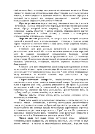 свойственные более высокоорганизованным позвоночным животным. Почки
удаляют из организма продукты распада, образующиеся в результате обмена
веществ, а также вредные и ядовитые вещества. Мочеточники образуют в
конечной части парное или непарное расширение - мочевой пузырь,
открывающийся наружу возле полового отверстия.
      Органы размножения представлены у самцов семенниками, а у самок
- яичниками. Половые органы обычно парные, но иногда яичники сливаются
вместе, образуя непарный орган, например, у окуня. Парные железы,
соединяясь вместе, образуют у самок яйцевод, открывающийся наружу
половым отверстием в особом сосочке; у самцов - в семяпровод,
открывающийся в мочеполовом синусе.
      Нервная система разделяется, на центральную, к которой относятся
головной и спинной мозг, и периферическую - головные и спинные нервы.
Нервы головного и спинного мозга в виде белых нитей (нервные волокна)
проходят ко всем органам и мышцам.
      Головной мозг рыб довольно примитивен и имеет линейное
расположение своих частей. Он состоит из пяти основных отделов: передний
мозг (у высших называемый полушариями большого мозга),
промежуточный, средний мозжечок и продолговатый мозг. От головного
мозга отходят 10 пар нервов: обонятельный, зрительный, глазодвигательный,
блоковой, тройничный, отводящий, лицевой, слуховой, языкоглоточный,
блуждающий.
      Спинной мозг рыб представляет собой шнур цилиндрической формы,
проходящий в верхних дугах позвоночника. От него отходят двигательные и
в него входят чувствительные нервные волокна. Число нервов соответствует
числу позвонков: на каждый позвонок пара двигательных и пара
чувствующих нервных волокон.
      Гидростатическим аппаратом, предназначенным регулировать
содержание газов в крови, является плавательный пузырь. При перемещении
рыбы в верхние слои воды давление уменьшается. Из крови выделяются
растворенные в ней газы (в плавательный пузырь). Плавательный пузырь
увеличивается, удельный вес рыбы уменьшается. При погружении рыбы на
глубину, наоборот, плавательный пузырь сжимается.
      Органы чувств: органы зрения, слуха, осязания, обоняния, вкуса,
изменения давления воды.
      Глаза рыбы имеют по три оболочки: наружную - склеру, сосудистую и
сетчатку. Зрачок - неподвижен, и поэтому аккомодация (приспособление
глаза к получению отчетливых изображений предметов с разных расстояний)
осуществляется при помощи особого мускулистого серповидного отростка,
передвигающего хрусталик вперед и назад. У рыб нет век. По сравнению с
наземными позвоночными рыбы близоруки: ясно различают предметы в
пределах около 1 м. Максимальная дальность зрения 12-15 м.
      Орган слуха рыб имеет только внутренний отдел - лабиринт,
соответствующий внутреннему уху высших животных. Он состоит из двух
частей: верхней и нижней (с мешкообразным выростом). Верхняя часть
                                    8
 