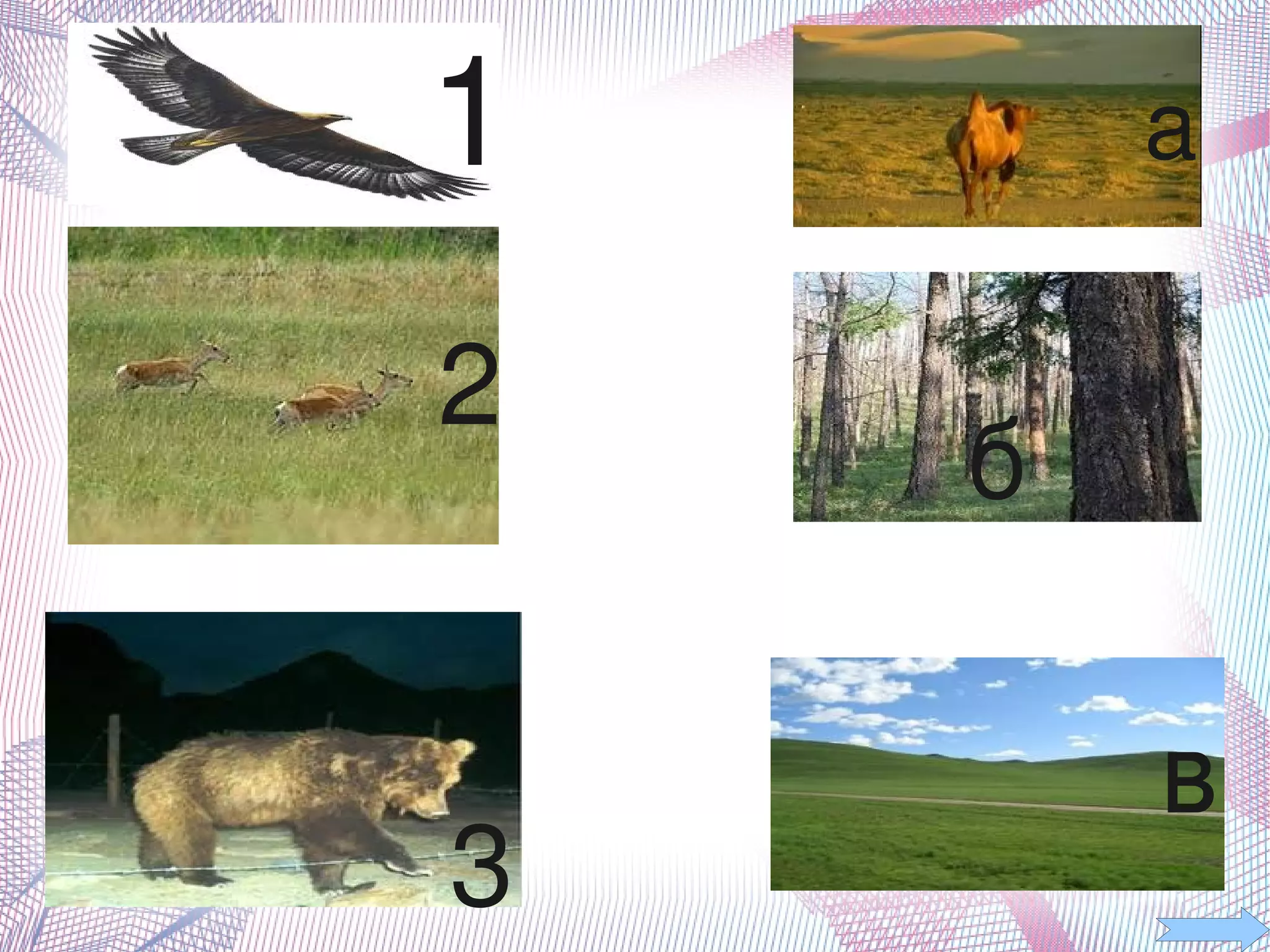                                             1                                                                 а

                                                  2
                                                                                     б

                                                                            в
     
                                                 3           
 