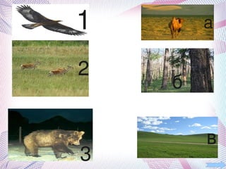                                             1                                                                 а

                                                  2
                                                                                     б

                                                                            в
     
                                                 3           
 