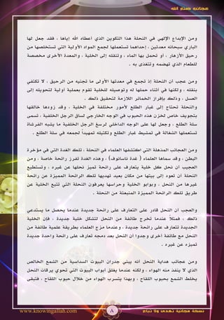 ‫عجائب صنع اهلل‬




  ‫ومن اإلبداع اإللهي في النحلة هذا التكوين الذي أعطاه اهلل إياها ، فقد جعل لها‬
  ‫الباري سبحانه معدتين ، إحداهما تستعملها لجمع المواد األولية التي تستخلصها من‬
  ‫رحيق األزهار ، أو تحمل بها الماء ، وتنقله إلى الخلية ، والمعدة األخرى مخصصة‬
                                                ‫للطعام الذي تهضمه وتتغذى به .‬

  ‫ومن عجب أن النحلة إذ تجمع في معدتها األولى ما تجنيه من الرحيق ، ال تكتفي‬
  ‫بنقله ، ولكنها في أثناء حملها له وتوصيله للخلية تقوم بعملية أولية لتحويله إلى‬
                            ‫العسل ، وذلك بإفراز الخمائر الالزمة لتحقيق ذلك .‬
  ‫والنحلة تحتاج إلى غبار الطلع ألمور مختلفة في الخلية ، وقد زودها خالقها‬
  ‫بتجويف خاص لخزن هذه الحبوب في الوجه الخارجي لساق الرجل الخلفية ، تسمى‬
  ‫سلة الطلع ، وجعل لها على الوجه الداخلي لرسغ الرجل الخلفية ما يشبه الفرشاة‬
     ‫تستعملها الشغالة في تمشيط غبار الطلع وتكتيله تمهيداً لجمعه في سلة الطلع .‬

  ‫ومن العجائب المذهلة التي اكتشفها العلماء في النحلة ، تلك الغدة التي في مؤخرة‬
  ‫البطن ، وقد سماها العلماء ( غدة ناسانوف) ، وهذه الغدة تفرز رائحة خاصة ، ومن‬
  ‫العجيب أن نحل كل خلية يتعارف على رائحة تميز نحلها عن غيره ، وتستطيع‬
  ‫النحلة أن تعود إلى بيتها من مكان بعيد تهديها تلك الرائحة المميزة عن رائحة‬
  ‫غيرها من النحل ، وبوابو الخلية وحراسها يعرفون النحلة التي تتبع الخلية عن‬
                               ‫طريق تلك الرائحة المميزة المنبعثة من النحلة .‬

  ‫والعجب أن النحل قادر على التعارف على رائحة جديدة عندما يحصل ما يستدعي‬
  ‫ذلك ، فمثال عندما تخرج طائفة من النحل لتشكل خلية جديدة ، فإن الخلية‬
                                                                ‫ً‬
  ‫الجديدة تتعارف على رائحة جديدة ، وعندما مزج العلماء بطريقة علمية طائفة من‬
  ‫النحل مع طائفة أخرى وجدوا أن النحل بعد دمجه تعارف على رائحة واحدة جديدة‬
                                                            ‫تميزه عن غيره .‬

  ‫ومن عجائب هداية النحل أنه يبني جدران البيوت السداسية من الشمع الخالص‬
  ‫الذي ال ينفذ منه الهواء ، ولكنه عندما يغلق أبواب البيوت التي تحوي يرقات النحل‬
  ‫يخلط الشمع بحبوب اللقاح ، وبهذا يتسرب الهواء من خالل حبوب اللقاح ، فتبقى‬




‫‪www.knowingallah.com‬‬                   ‫8‬              ‫نسخة مجانية تهدى وال تباع‬
 