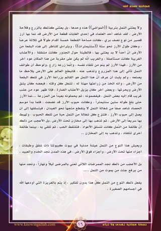 ‫عجائب صنع اهلل‬




  ‫وال يعتني النمل بتربية ((المواشي)) هذه وحدها ، بل يعتني كذلك بالزرع وفالحة‬
  ‫األرض ، لقد شاهد أحد العلماء في إحدى الغابات قطعة من األرض قد نما بها أرز‬
                  ‫ً‬
  ‫قصير من نوع نصف بري ، كانت مساحة القطعة خمسة أقدام طوال في ثالثة عرضا‬
  ‫ً‬
  ‫، وكان طول األرز نحو ستة ((سنتيمترات)) ، ويتراءى للناظر إلى هذه البقعة من‬
  ‫األرض أن أحداً ال بد يعتني بها ، فالطينة حول الجذور كانت مشققة ، واألعشاب‬
                                                                        ‫ّ‬
  ‫الغريبة كانت مستأصلة ، والغريب أنه لم يكن على مقربة من هذا المكان عود آخر‬
                                               ‫ّ‬
  ‫من األرز ، فهذا األرز لم ينم من تلقاء نفسه ، وإنما زرعه زارع .ولوحظ أن طوائف‬
                                    ‫ّ‬
  ‫النمل تأتي إلى هذا المزروع وتذهب عنه ، فانبطح العالم على األرض يالحظ ما‬
  ‫يصنعه ، ولم يلبث أن عرف أن هذا النمل هو القائم بزراعة األرز في تلك البقعة‬
                                                     ‫ّ‬
  ‫من األرض ، وأنه اتخذ من زراعتها مهنة له ، تشغل كل وقته ، فبعضه كان يشق‬
  ‫األرض ويحرثها ، وبعض آخر كان يزيل األعشاب الضارة ، فإذا ظهر عود من عشب‬
  ‫غريب قام إليه بعض النمل ، فيقضمونه ، ثم يحملونه بعيداً عن المزرعة ...نما األرز‬
  ‫حتى بلغ طوله ستين سنتيمتراً ، وكانت حبوب األرز قد نضجت ، فلما بدأ موسم‬
  ‫الحصاد شاهد صفا من شغالة النمل ال ينقطع متجها نحو العيدان ، فيتسلقها إلى أن‬
                                 ‫ً‬                              ‫ً‬
  ‫يصل إلى حبوب األرز ، فتنزع كل شغالة من النمل حبة من تلك الحبوب ، وتهبط‬
  ‫بها سريعا إلى األرض ، ثم تذهب بها إلى مخازن تحت األرض .بل األعجب من ذلك‬
                                                                        ‫ً‬
  ‫أن طائفة من النمل كانت تتسلق األعواد ، فتلتقط الحب ، ثم تلقي به ، بينما طائفة‬
                                                                  ‫ّ‬            ‫ّ‬
                                          ‫أخرى تتلقاه ، وتذهب به إلى المخازن ..‬

  ‫ويعيش هذا النوع من النمل عيشة مدنية في بيوت كبيوتنا ذات شقق وطبقات ،‬
  ‫أجزاء منها تحت األرض ، وأجزاء فوق األرض ، في هذه المدن نجد الخدم والعبيد .‬

  ‫بل األعجب من ذلك نجد الممرضات الالتي تعني بالمرضى ليال ونهاراً ، ونجد منها‬
                      ‫ً‬
                                           ‫من يرفع جثث من يموت من النمل ....‬

  ‫يفعل ذلك النوع من النمل كل هذا بدون تفكير ، إذ يتم بالغريزة التي أودعها اهلل‬
                                                    ‫ّ‬
                                                          ‫في أجسامهم الصغيرة .‬




‫‪www.knowingallah.com‬‬                   ‫61‬              ‫نسخة مجانية تهدى وال تباع‬
 