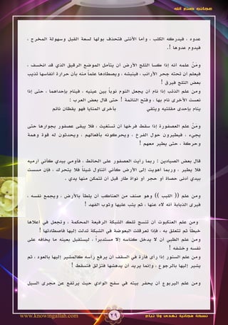 ‫عجائب صنع اهلل‬




  ‫عدوه ، فيدركه الكلب ، وأما األنثى فتحذف بولها لسعة القبل وسهولة المخرج ،‬
                                                             ‫فيدوم عدوها !.‬

  ‫ومن علمه أنه إذا كسا الثلج األرض أن يتأمل الموضع الرقيق الذي قد انخسف ،‬   ‫َْ‬
  ‫فيعلم أن تحته جحر األرانب ، فينبشه ، ويصطادها علما منه بأن حرارة أنفاسها تذيب‬
                              ‫ً‬
                                                               ‫بعض الثلج فيرق !‬
  ‫ومن علم الذئب إذا نام أن يجعل النوم نوبا بين عينيه ، فينام بإحداهما ، حتى إذا‬
                                       ‫ً‬
                      ‫نعست األخرى نام بها ، وفتح النائمة ! حتى قال بعض العرب :‬
              ‫بأخرى المنايا فهو يقظان نائم‬             ‫ينام بإحدى مقلتيه ويتقي‬

  ‫ومن علم العصفورة إذا سقط فرخها أن تستغيث ، فال يبقى عصفور بجوارها حتى‬
                                                                    ‫َْ‬
  ‫يجيء ، فيطيرون حول الفرخ ، ويحركونه بأفعالهم ، ويحدثون له قوة وهمة‬
                                               ‫وحركة ، حتى يطير معهم !‬

  ‫قال بعض الصيادين : ربما رأيت العصفور على الحائط ، فأومي بيدي كأني أرميه‬
  ‫فال يطير ، وربما أهويت إلى األرض كأني أتناول شيئا فال يتحرك ، فإن مسست‬
                         ‫ً‬
                 ‫بيدي أدنى حصاة أو حجر أو نواة طار قبل أن تتمكن منها يدي .‬

  ‫ومن علم (( اللبب )) وهو صنف من العناكب أن يلطأ باألرض ، ويجمع نفسه ،‬
                         ‫فيرى الذبابة أنه اله عنها ، ثم يثب عليها وثوب الفهد !‬

  ‫ومن علم العنكبوت أن تنسج تلك الشبكة الرفيعة المحكمة ، وتجعل في أعالها‬
        ‫خيطا ثم تتعلق به ، فإذا تعرقلت البعوضة في الشبكة تدلت إليها فاصطادتها !‬
                                                                           ‫ً‬
  ‫ومن علم الظبي أن ال يدخل كناسه إال مستدبراً ، ليستقبل بعينه ما يخافه على‬
                                                                  ‫نفسه وخشفه !‬
  ‫ومن علم السنور إذا رأى فأرة في السقف أن يرفع رأسه كالمشير إليها بالعود ، ثم‬
                       ‫يشير إليها بالرجوع ، وإنما يريد أن يدهشها فتزلق فتسقط !‬

  ‫ومن علم اليربوع أن يحفر بيته في سفح الوادي حيث يرتفع عن مجرى السيل‬




‫‪www.knowingallah.com‬‬                  ‫92‬              ‫نسخة مجانية تهدى وال تباع‬
 