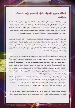 ‫عجائب صنع اهلل‬




          ‫اتفاق جميع األحياء في التنفس وإن اختلفت‬
                                           ‫طرائقه‬
  ‫ويعرض الدكتور يوسف في مقاالته القيمة لهذا الموضوع ، فيقول : « إن عملية‬
  ‫التنفس التي نجدها في جميع الكائنات الحية من أدناها إلى أرقاها عملية عجيبة ،‬
  ‫وهي في جميع الحاالت ليست سوى عملية أكسدة ، أي اتحاد األكسجين بالمواد‬
  ‫الغذائية التي في خاليا الجسم ، ونتيجة لهذه األكسدة تنطلق طاقة الالزمة للكائن‬
               ‫الحي التي لوالها ما استطاع القيام بأي نشاط من أنشطته المختلفة .‬
                                           ‫ّ‬

  ‫تتم هذه األكسدة في الحيوانات المختلفة بطرق متباينة ، ولكن النتيجة في جميع‬
  ‫األحوال واحدة ، وهي انطالق الطاقة ، وفي الوقت نفسه يتكون الماء ( وثاني أكسيد‬
  ‫الكربون ) نتيجة لهذه العملية ، ولذا فالمظهر الواضح لعملية التنفس هو أخذ‬
  ‫(األكسجين) الالزم (ألكسدة) المواد الغذائية وبإخراج (ثاني أوكسيد الكربون)‬
                                               ‫والماء الناتجين عن هذه العملية .‬

  ‫ففي حيوان بسيط (كاألميبا) حيث يتكون الجسم من خلية واحدة ، تتم عملية التنفس‬
  ‫بطريقة غاية في البساطة ، إن هذا الحيوان الذي يشبه قطعة دقيقة من (الجيالتين)‬
                                                    ‫ّ‬
  ‫الرخو يعيش في الماء ، ويوجد بالماء المحيط به قدر من (األوكسجين) المذاب‬
  ‫، هذا (األوكسجين) الذائب في الماء ينفذ إلى جسم (األميبا) حيث يؤكسد المواد‬
  ‫الغذائية التي في جسمها ، فتنطلق الطاقة الالزمة لحركتها ونموها ، وغيرها من‬
  ‫العمليات الضرورة للحياة .ويتكون (ثاني أوكسيد الكربون) والماء نتيجة لعملية‬
                                         ‫(األكسدة) ، عالوة على انطالق الطاقة .‬
  ‫وتتخلص (األميبا) من الماء الزائد بطريقة تثير الدهشة ، حيث تتجمع قطيرات‬
  ‫الماء حتى تتكون فجوة مليئة بالماء ، هذه الفجوة تتحرك نحو حافة جسم الحيوان‬
  ‫، ثم تنفجر ملقية بالماء خارج الجسم ، ثم تعود لتتكون من جديد ... وهكذا .أما‬
             ‫ثاني (أوكسيد الكربون) فينفذ من داخل الجسم إلى الماء المحيط به .‬

  ‫وتحدث عملية التنفس في الحشرات عن طريق فتحات على جانبي الجسم توصل إلى‬
  ‫شبكة من األنابيب الدقيقة تتفرع داخل جسم الحشرة إلى أنابيب أصغر فأصغر ، حتى‬




‫‪www.knowingallah.com‬‬                  ‫83‬              ‫نسخة مجانية تهدى وال تباع‬
 