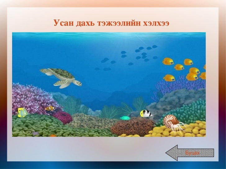 биоценоз