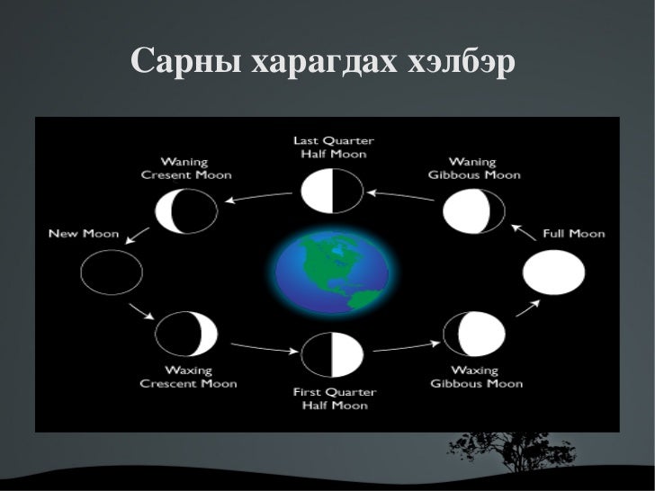 сарны харагдах хэлбэр үзүүлэн