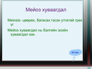 мейоз хуваагдал цахим хичээл | PPT