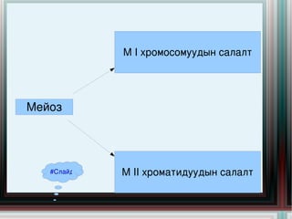 мейоз хуваагдал цахим хичээл