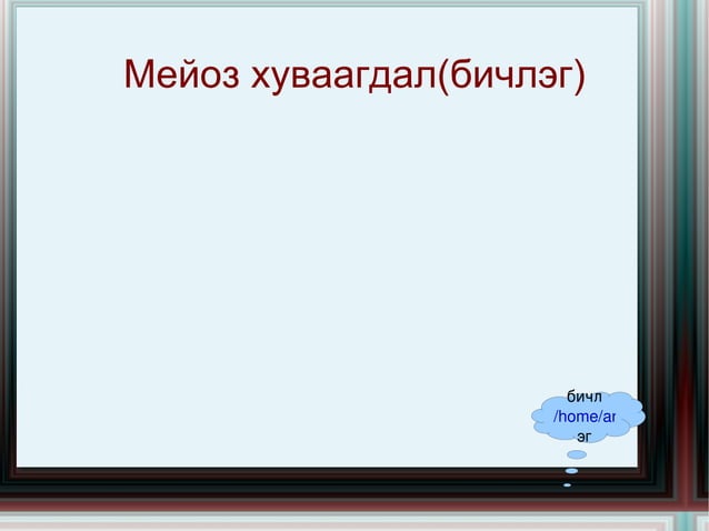 мейоз хуваагдал цахим хичээл