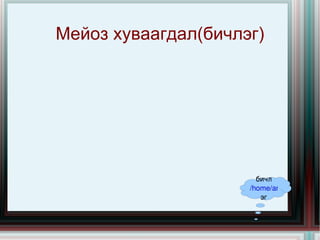 Хуваагдлын ач холбогдол Мейоз хуваагдал (meiosis) 