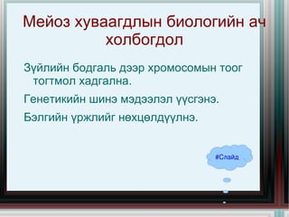 Зорилго Бэлгийн эсийн хуваагдлын үе шат, явц, ач холбогдлыг ойлгох #Слайд 3 