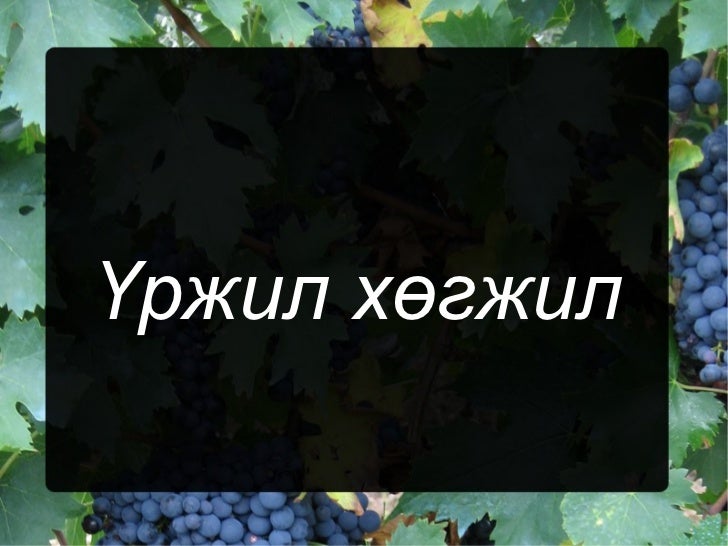үржил хөгжил цахим хэрэглэгдэхүүн