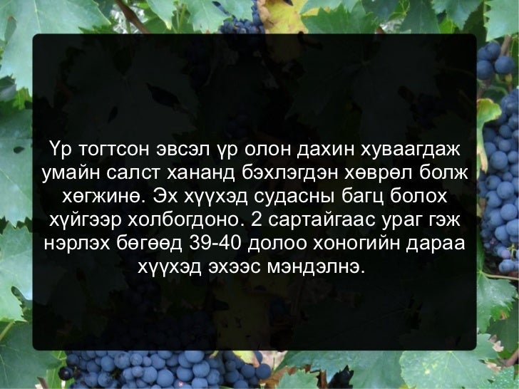 үржил хөгжил цахим хэрэглэгдэхүүн