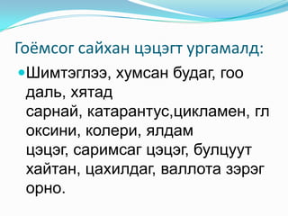 цэцэг арчлах сургалт | PPT