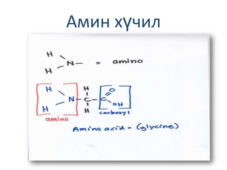 үзүүлэн.органик хими