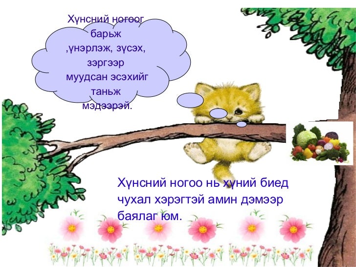 хүнснйи ногоо