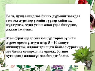 Хүн, хүүхэд байхдаа л алдаагүй зөв бичиж сураагүй бол хожим засрахгүй, алдаж бичсээр байгаа нь ажиглагддаг. 