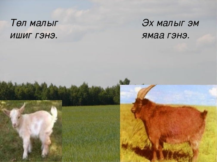хүн орчин хичээл