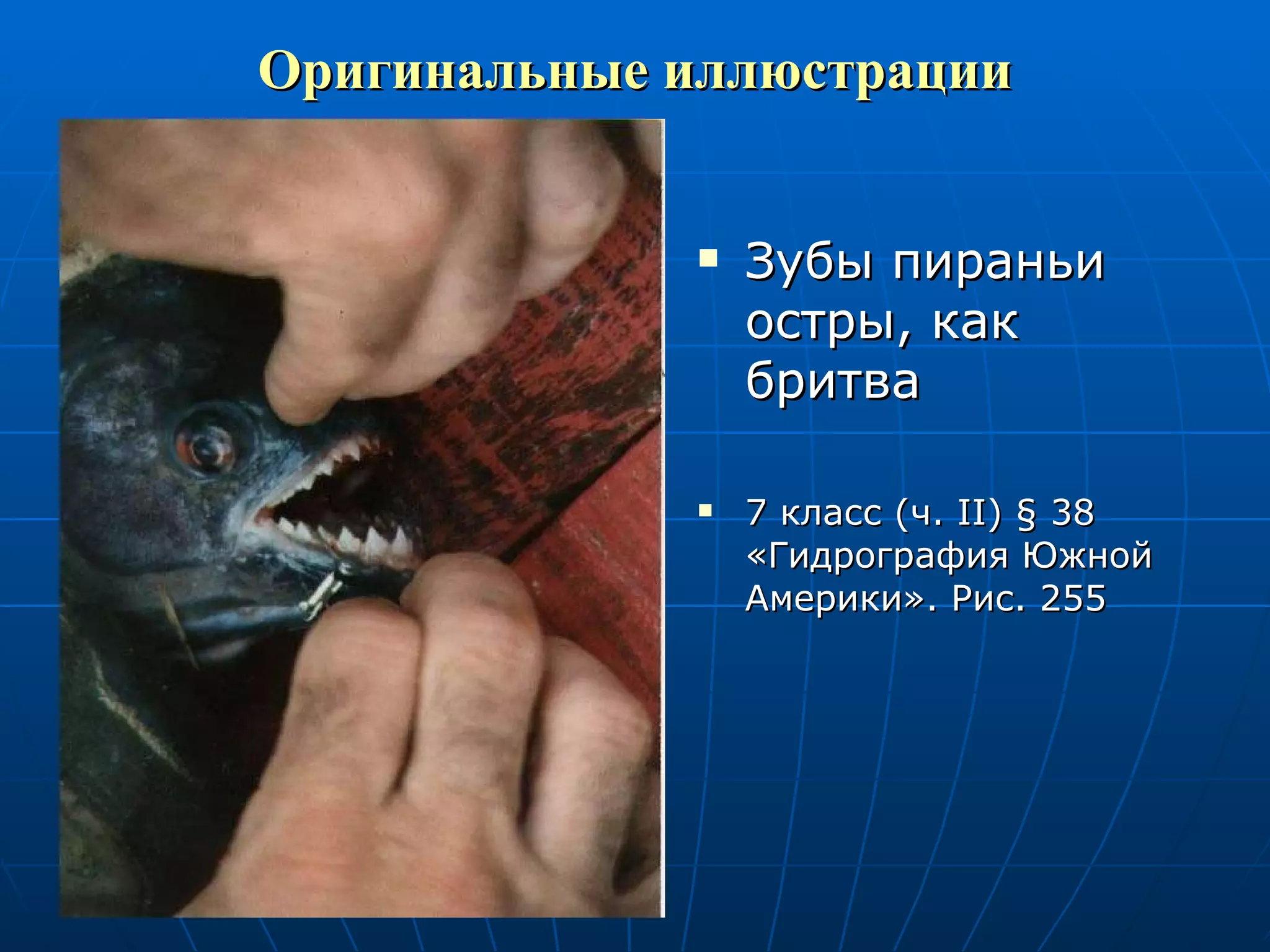 Оригинальные иллюстрации Зубы пираньи остры, как бритва 7 класс (ч.  II )  §  38 «Гидрография Южной Америки». Рис. 255 