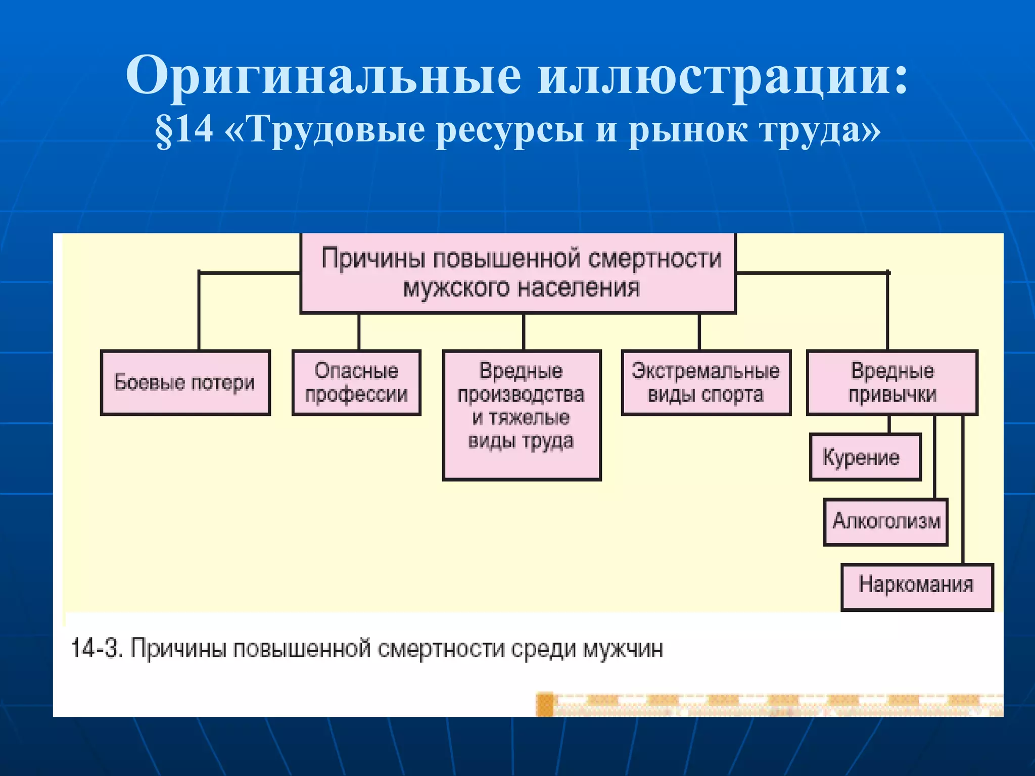 Оригинальные иллюстрации: § 14 «Трудовые ресурсы и рынок труда» 