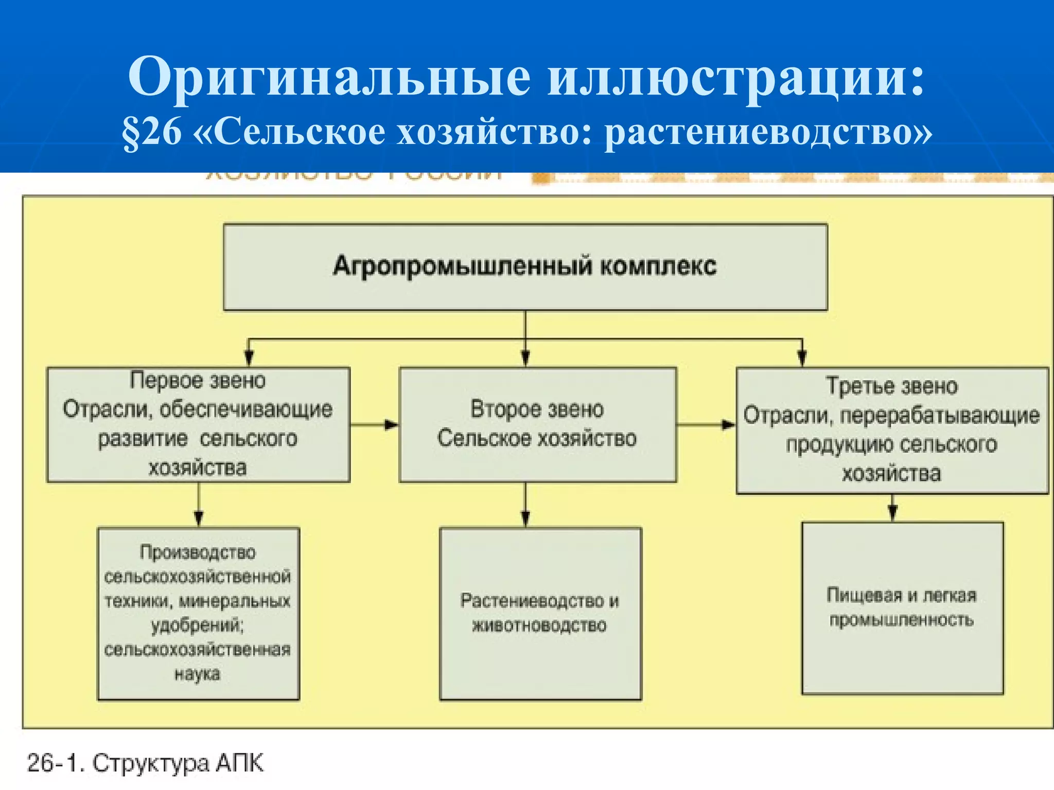 Оригинальные иллюстрации: § 26 «Сельское хозяйство: растениеводство» 