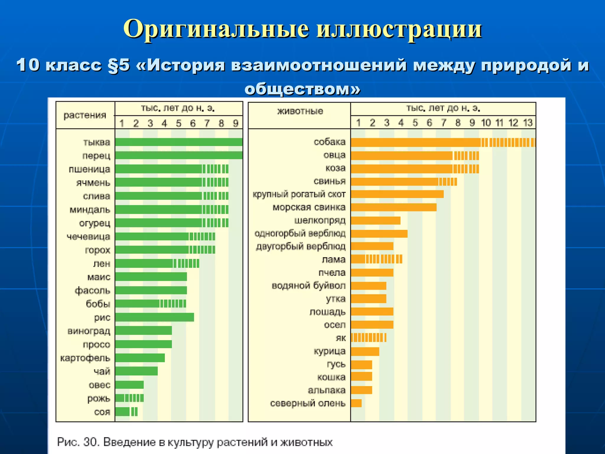 Оригинальные иллюстрации 1 0 класс  § 5 «История взаимоотношений между природой и обществом» 