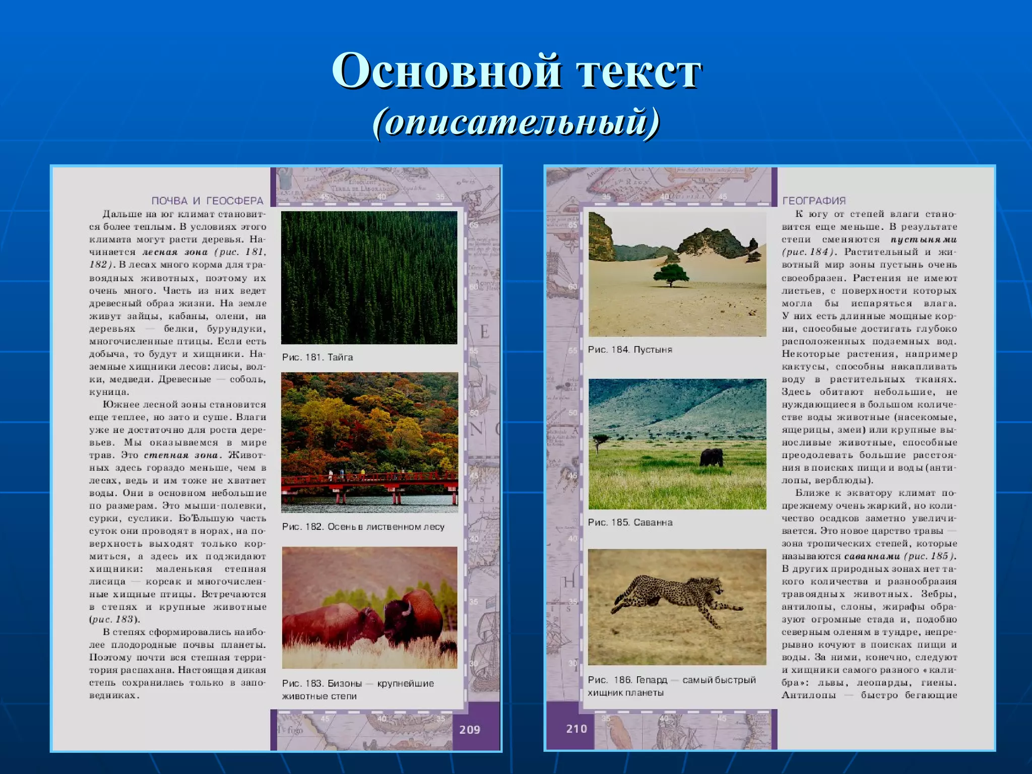 Основной текст (описательный) 