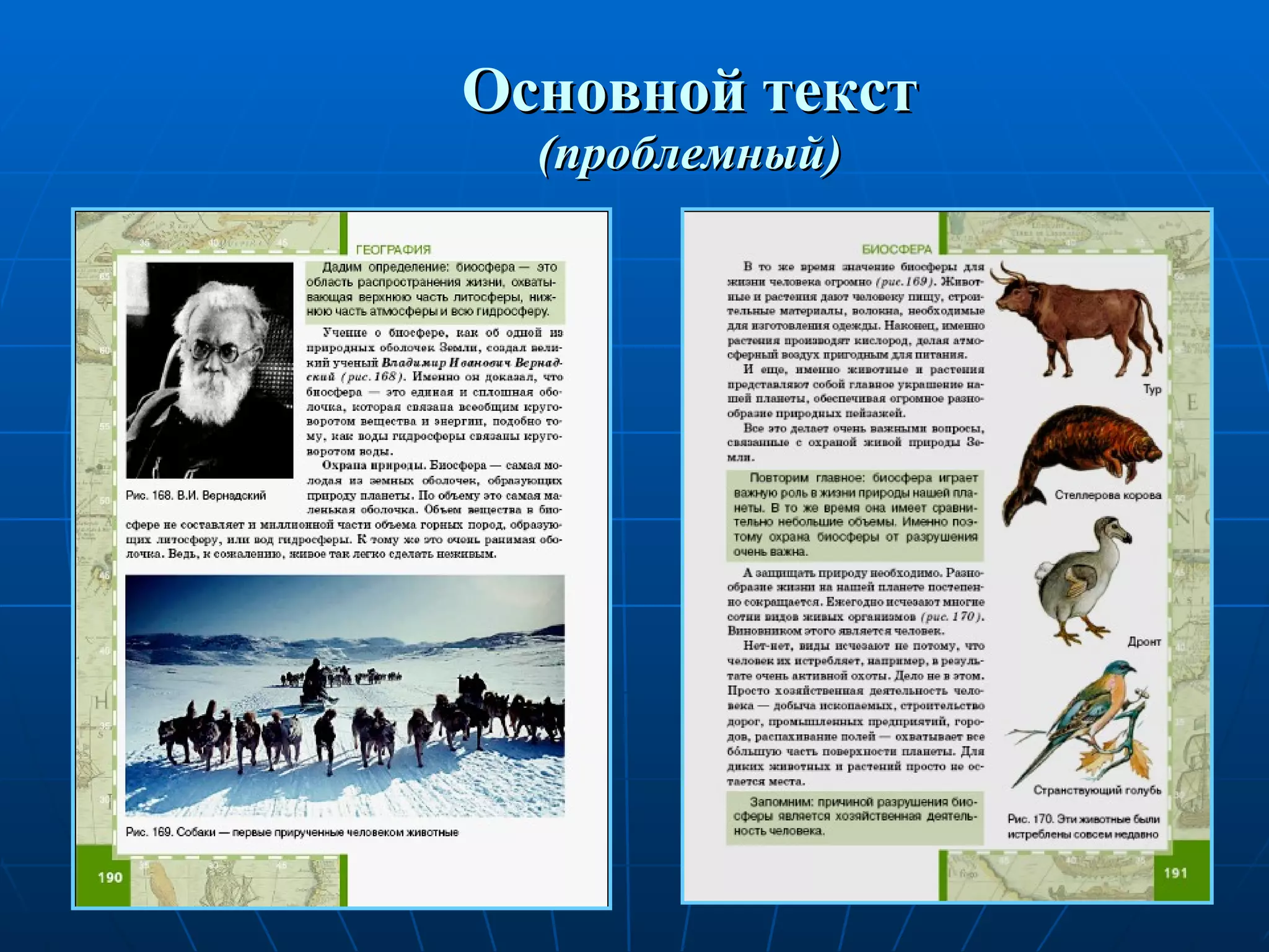 Основной текст (проблемный) 