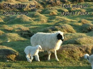 Эх малыг эм        Төл малыг 
хонь гэнэ.         хурга гэнэ.




                
 