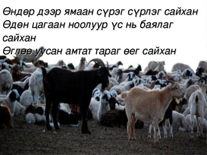 хүн орчин хичээл