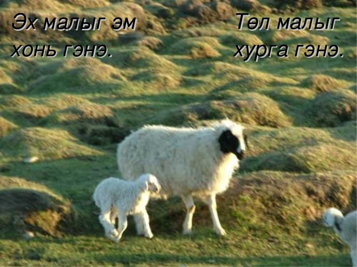 хүн орчин хичээл