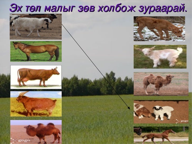 хүн орчин хичээл