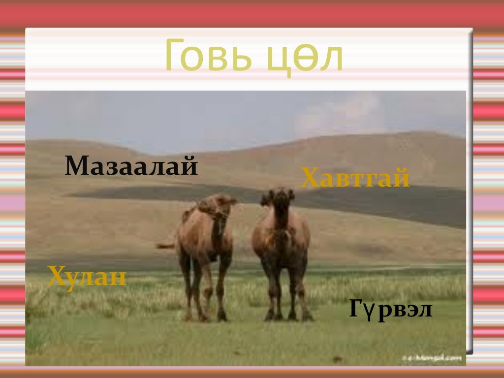 хүн орчин