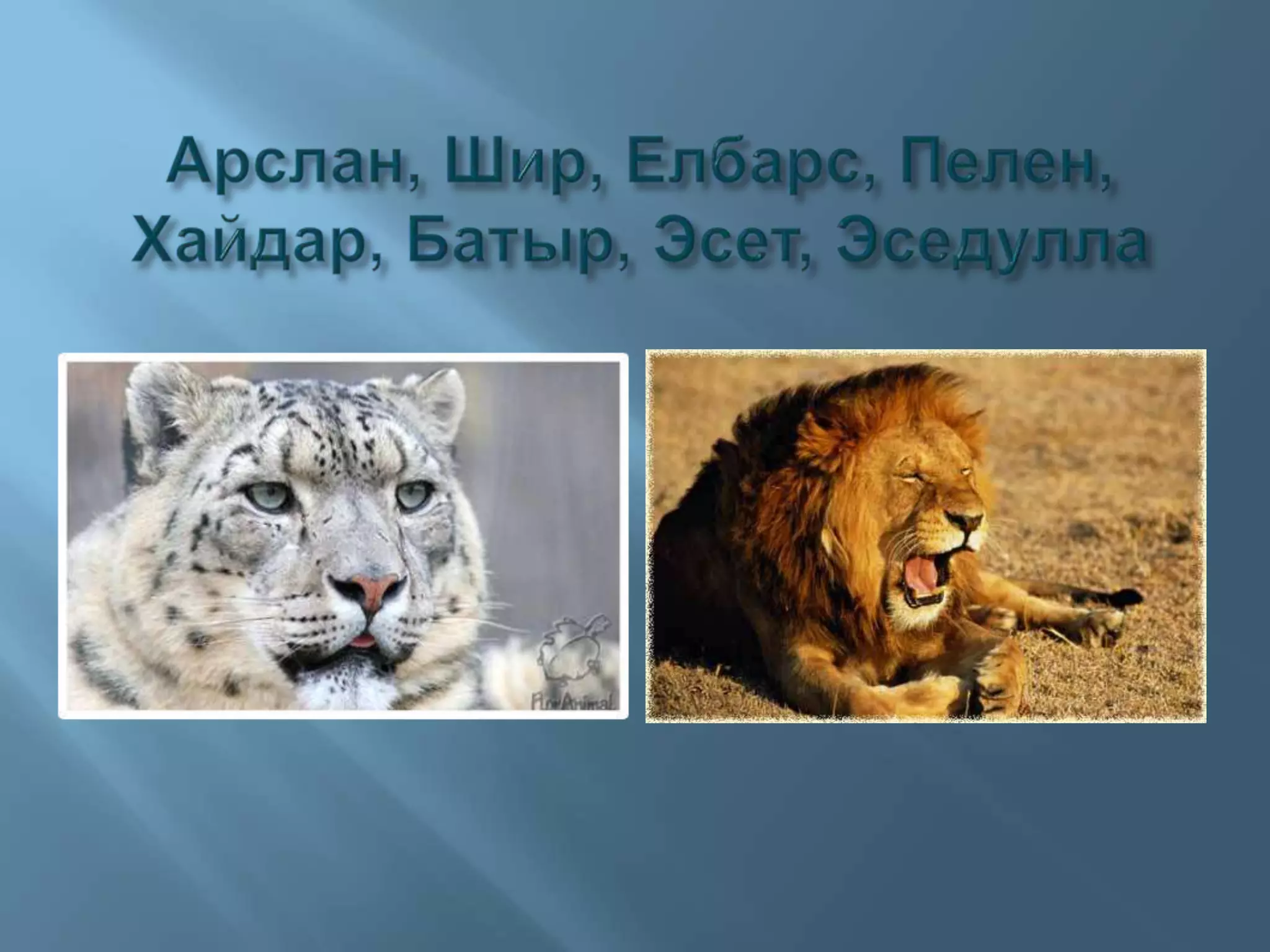 Арслан, Шир, Елбарс, Пелен, Хайдар, Батыр, Эсет, Эседулла