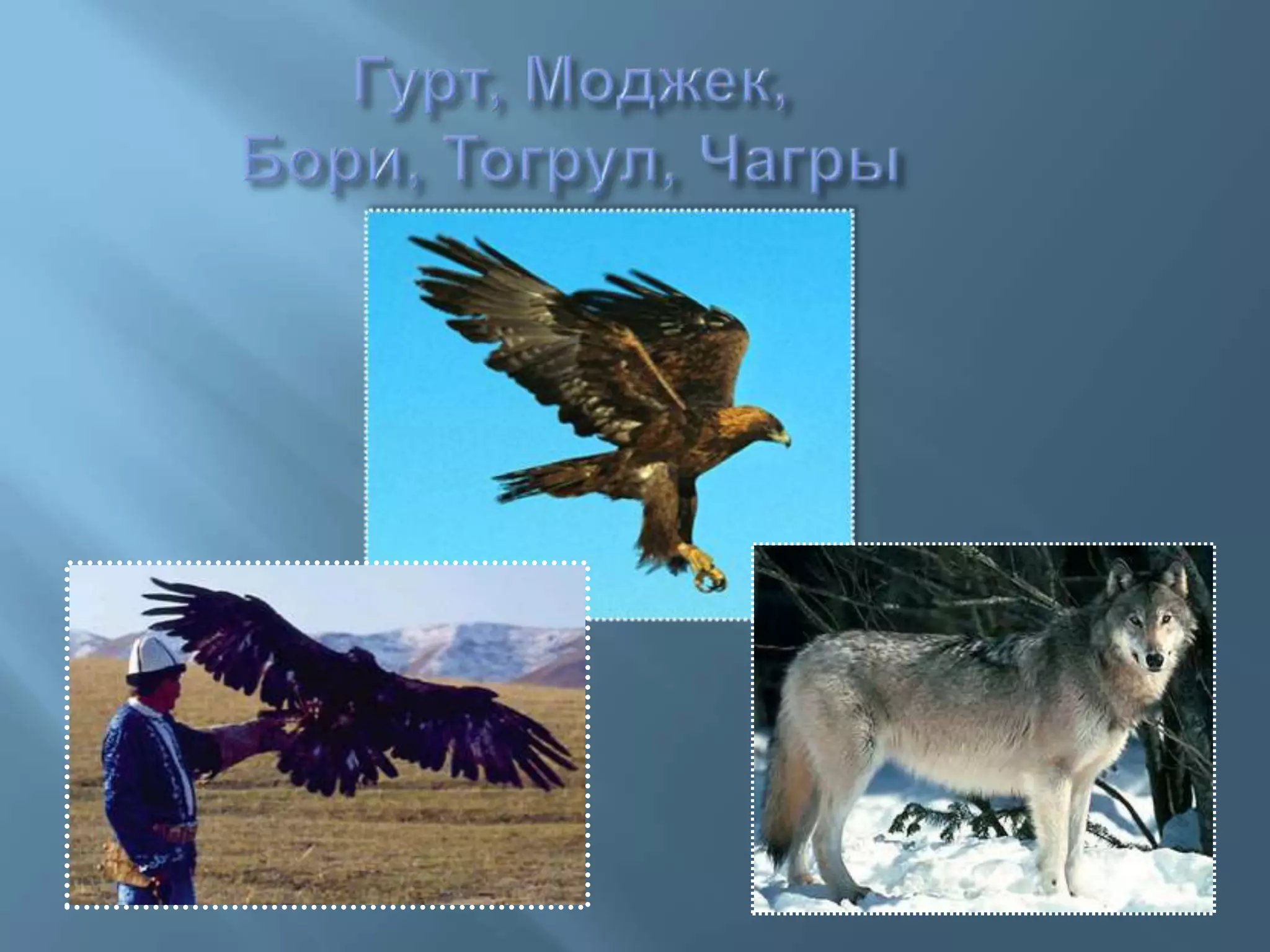 Гурт, Моджек, Бори,Тогрул, Чагры