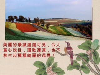 美麗的景緻處處可見，令人賞心悅目，讚歎連連，也不禁生起種種綺麗的遐思！ 