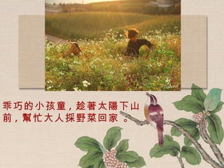 乖巧的小孩童 , 趁著太陽下山前 , 幫忙大人採野菜回家 。 