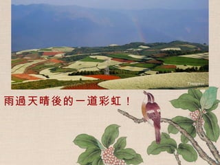 雨過天晴後的一道彩虹！ 