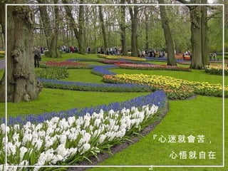 『心迷就會苦， 心悟就自在』 